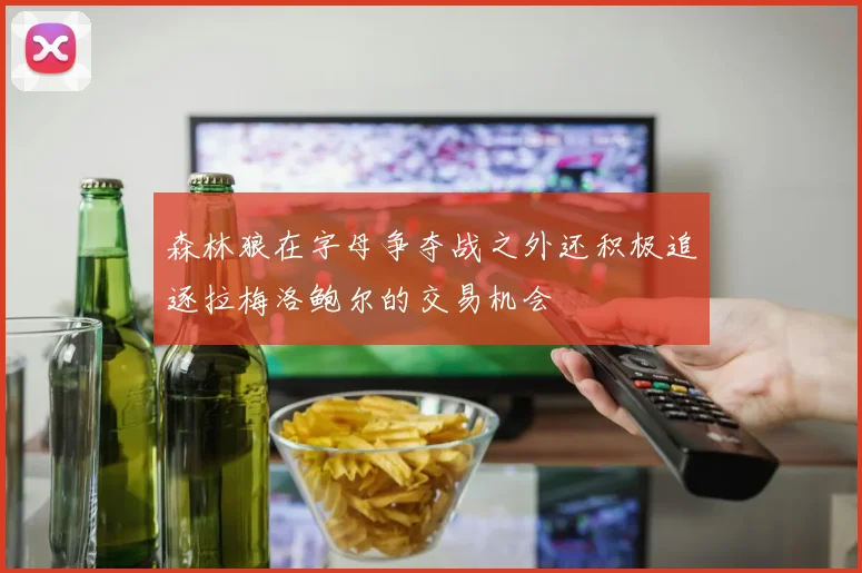 森林狼在字母争夺战之外还积极追逐拉梅洛鲍尔的交易机会