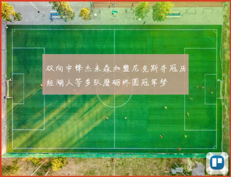 双向中锋杰米森加盟尼克斯夺冠历经湖人等多队磨砺终圆冠军梦